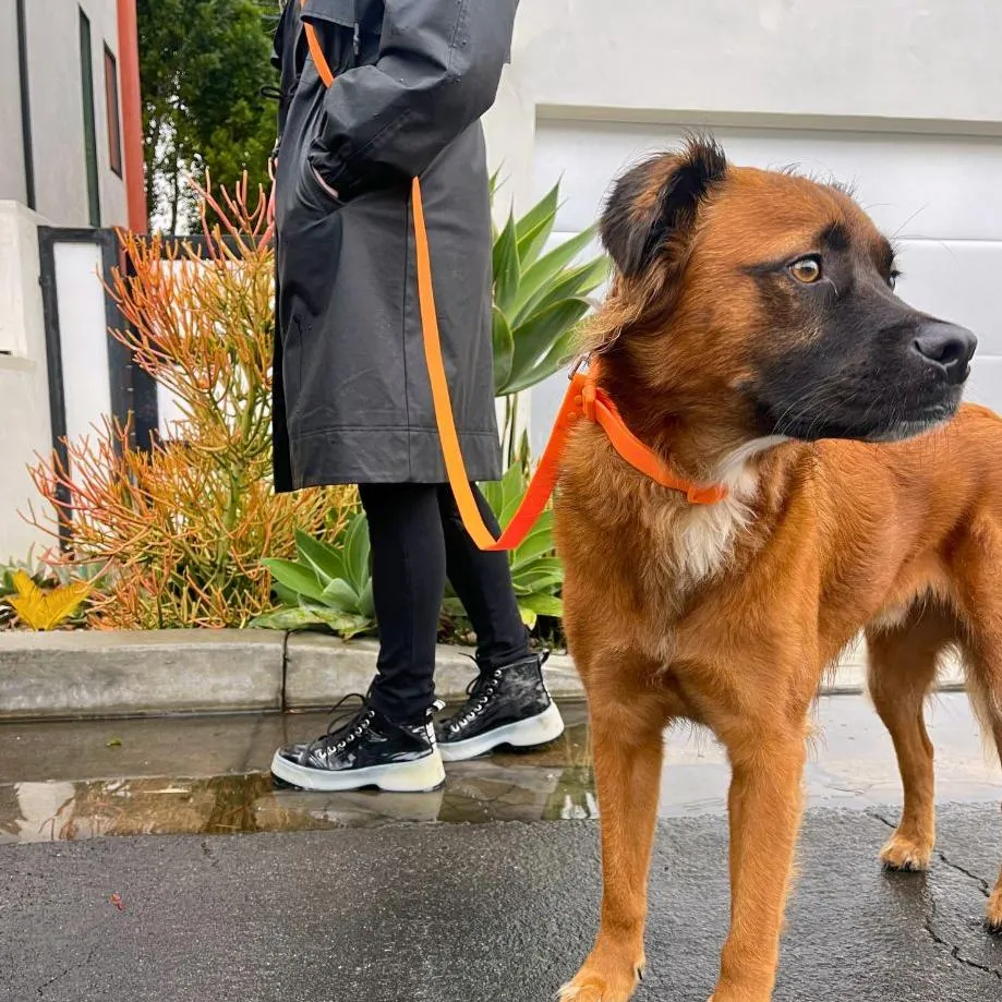 All Weather Handsfree Dog Leash - Biothane PVC Waterproof