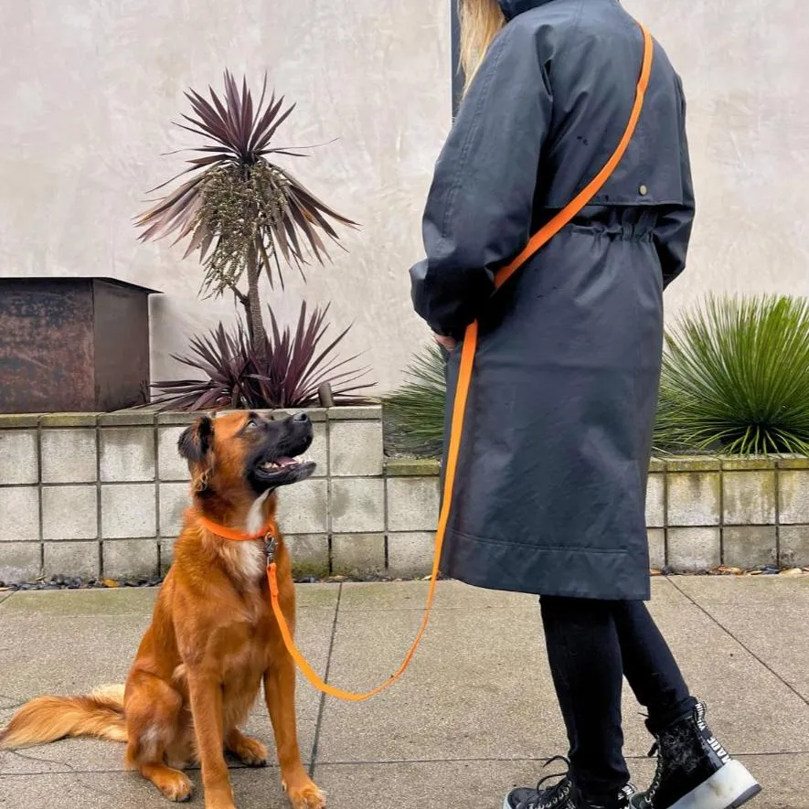 All Weather Handsfree Dog Leash - Biothane PVC Waterproof