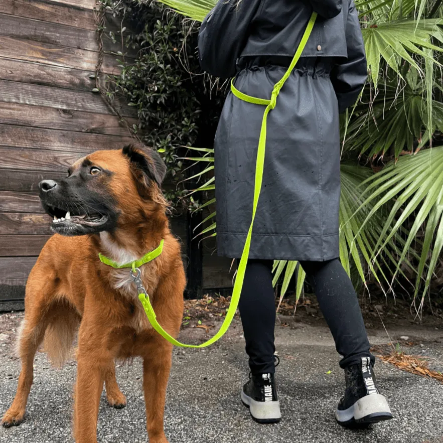 All Weather Handsfree Dog Leash - Biothane PVC Waterproof