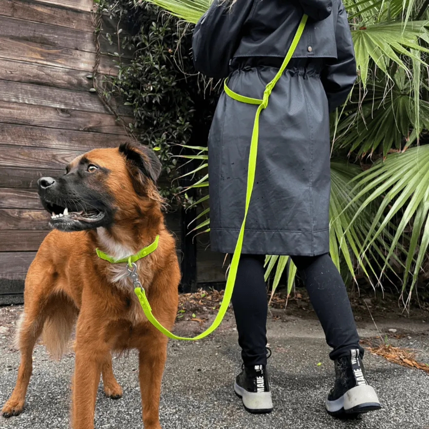 All Weather Waterproof Dog Collar - Biothane PVC Waterproof