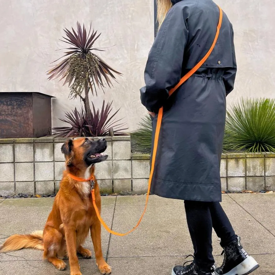 All Weather Waterproof Dog Collar - Biothane PVC Waterproof