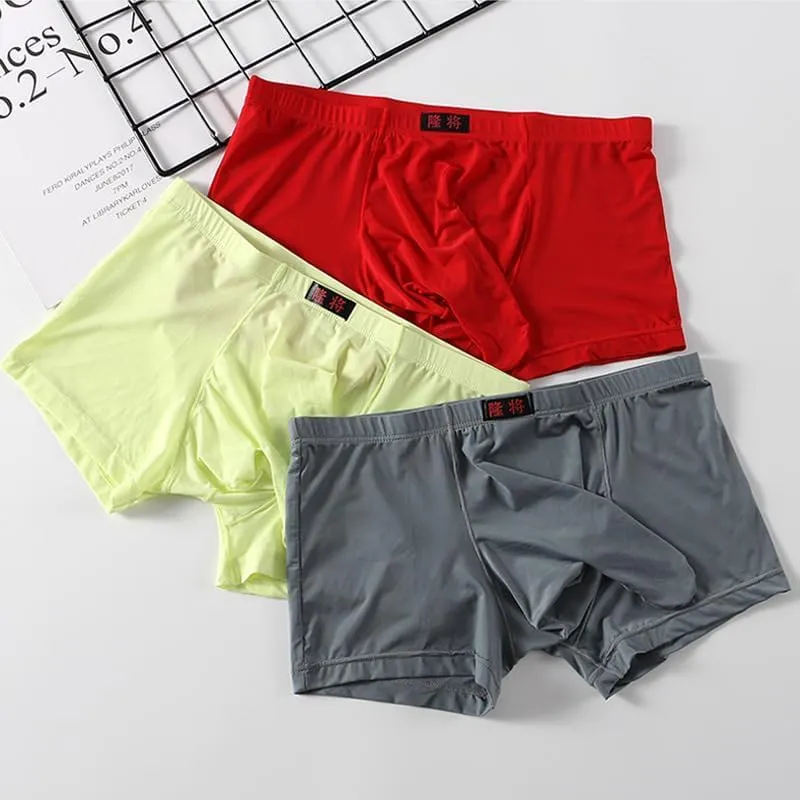 Men's Sexy Elephant Trunk Translucent Briefs Ice Silk U Bulge Underwear