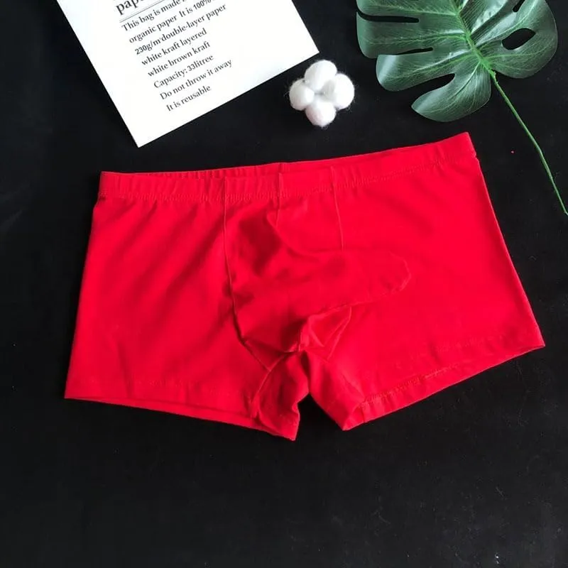 Men's Sexy Elephant Trunk Translucent Briefs Ice Silk U Bulge Underwear